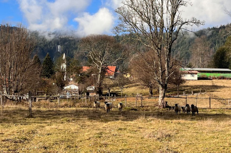 Huerta de la Ermita de San José